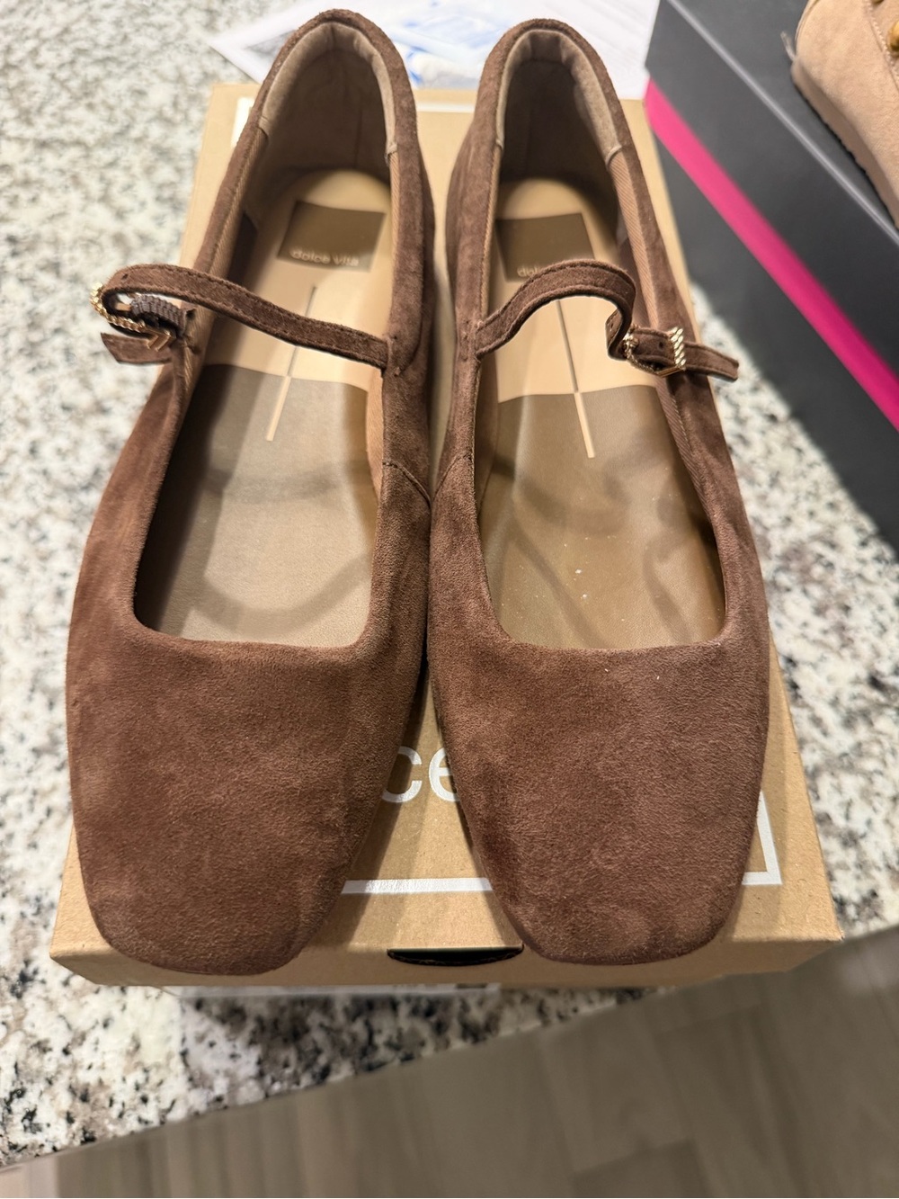 Dolce Vita Brown Suede Mary Jane Flats with Buckle Strap